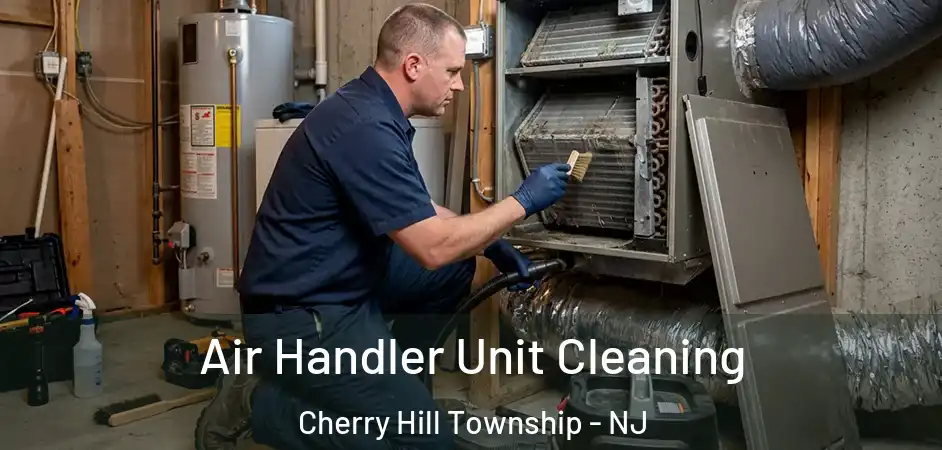  Air Handler Unit Cleaning Cherry Hill Township - NJ