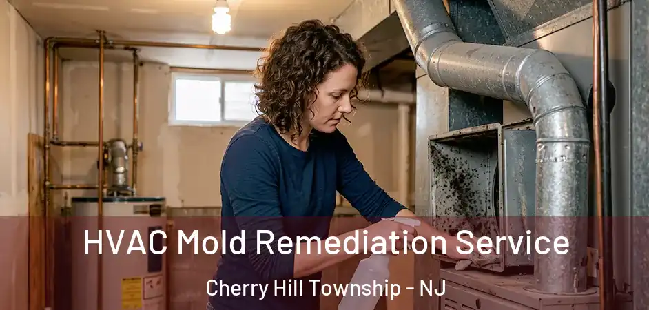  HVAC Mold Remediation Service Cherry Hill Township - NJ