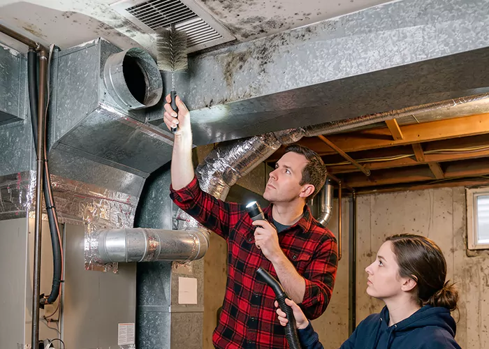 Premier HVAC Mold Remediation Company in Cherry Hill Township