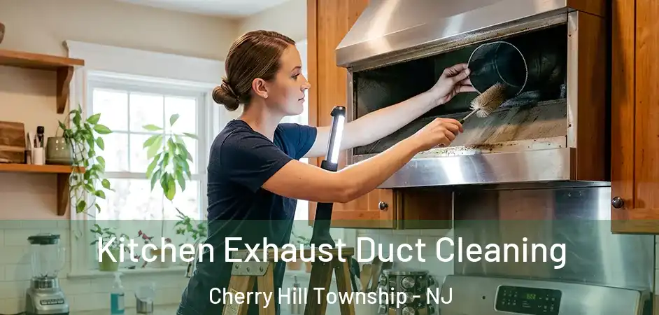  Kitchen Exhaust Duct Cleaning Cherry Hill Township - NJ